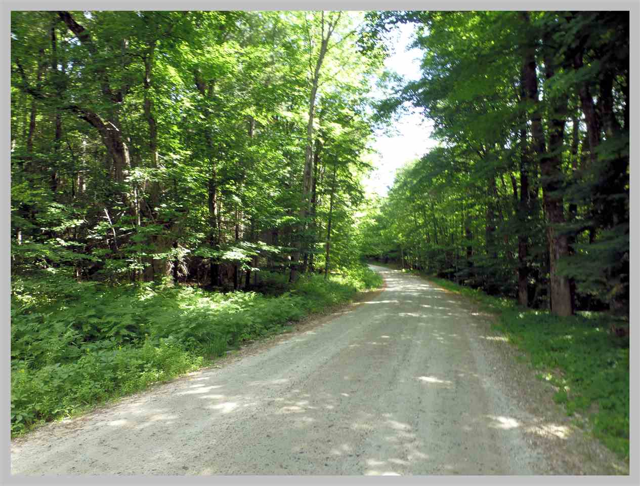 Lot #2 East Rumney Road Rumney, NH 03266 - Photo 3 of 11