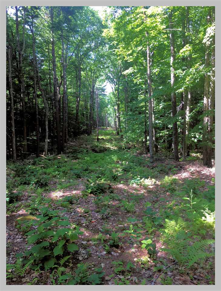 Lot #2 East Rumney Road Rumney, NH 03266 - Photo 5 of 11