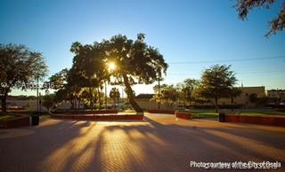 0 Southwest 42nd Ave Road Ocala, FL 34473 - Photo 11 of 13