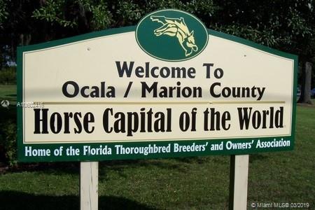 0 Southwest 42nd Ave Road Ocala, FL 34473 - Photo 3 of 13