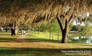 0 Southwest 42nd Ave Road Ocala, FL 34473 - Photo 10 of 13