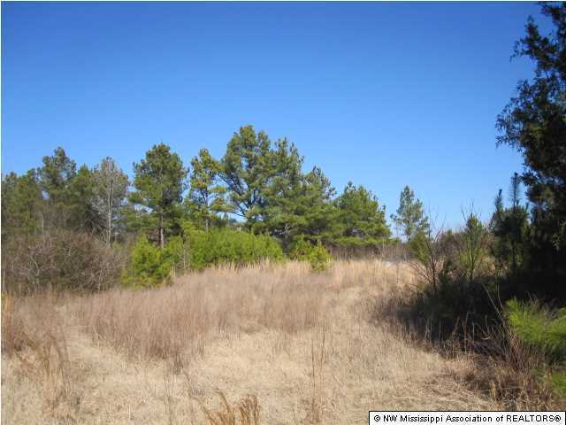 14 Watson Road Byhalia, MS 38611 - Photo 12 of 19 Additional Photo