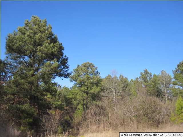 14 Watson Road Byhalia, MS 38611 - Photo 13 of 19 Additional Photo