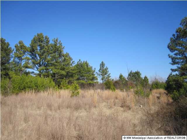 14 Watson Road Byhalia, MS 38611 - Photo 14 of 19 Additional Photo