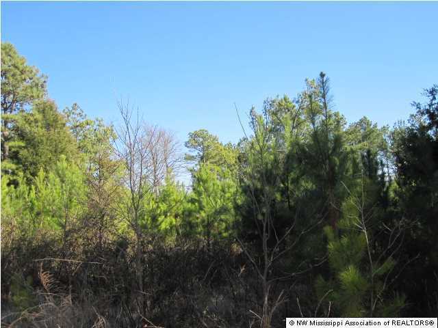14 Watson Road Byhalia, MS 38611 - Photo 15 of 19 Additional Photo