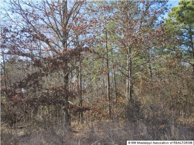 14 Watson Road Byhalia, MS 38611 - Photo 16 of 19 Additional Photo