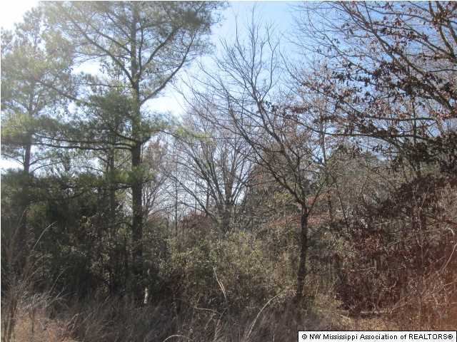 14 Watson Road Byhalia, MS 38611 - Photo 17 of 19 Additional Photo