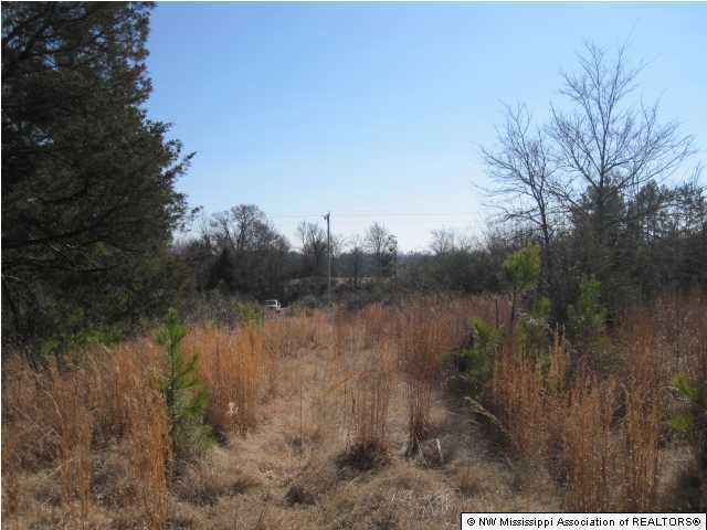 14 Watson Road Byhalia, MS 38611 - Photo 18 of 19 Additional Photo