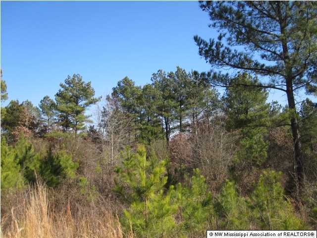 14 Watson Road Byhalia, MS 38611 - Photo 19 of 19 Additional Photo