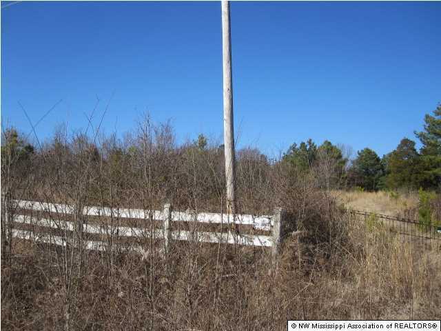 14 Watson Road Byhalia, MS 38611 - Photo 2 of 19 Additional Photo