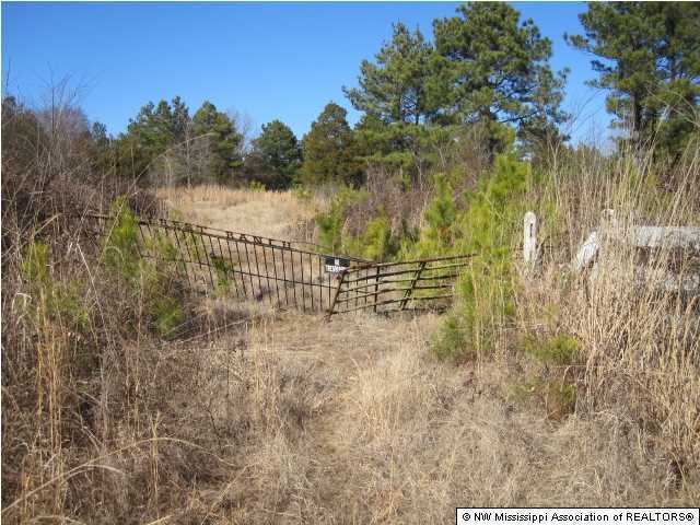 14 Watson Road Byhalia, MS 38611 - Photo 3 of 19 Additional Photo