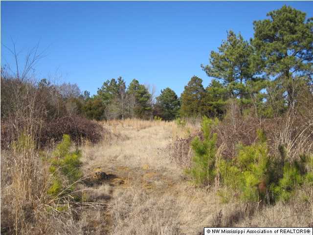 14 Watson Road Byhalia, MS 38611 - Photo 4 of 19 Additional Photo