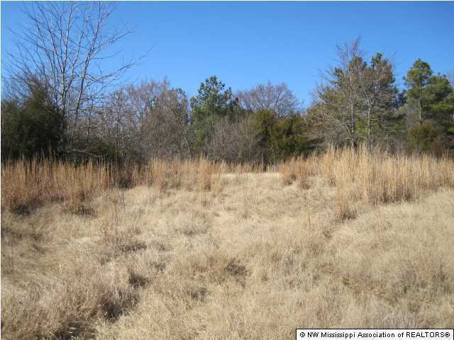 14 Watson Road Byhalia, MS 38611 - Photo 7 of 19 Additional Photo