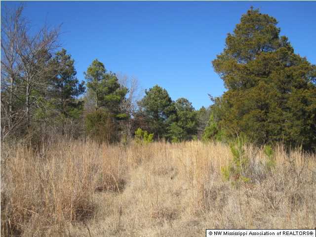 14 Watson Road Byhalia, MS 38611 - Photo 8 of 19 Additional Photo