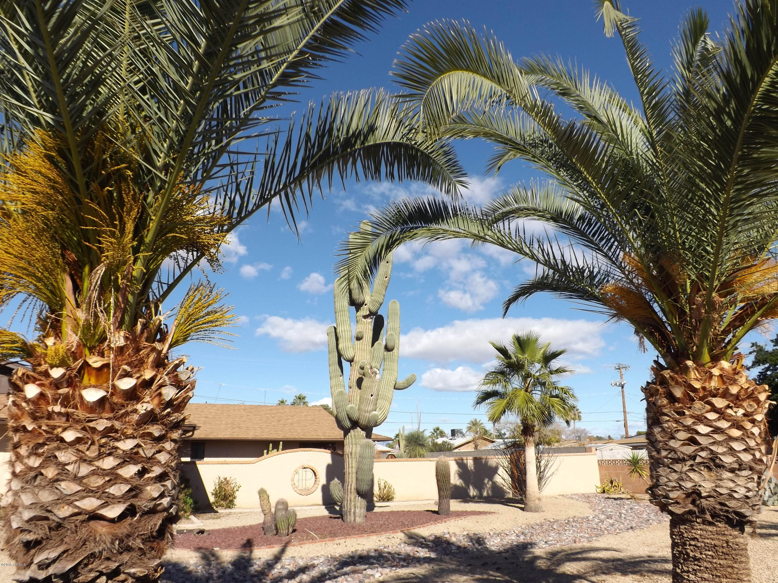 3046 East Bloomfield Road Phoenix, AZ 85032 - Photo 10 of 88 final-85