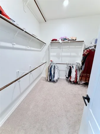 a bathroom with a shower and a sink