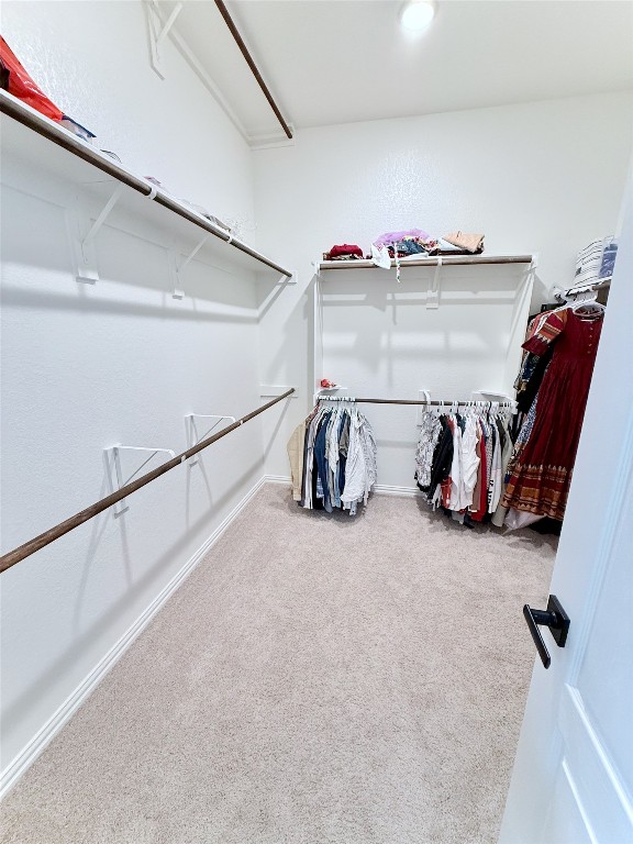 1209 Cole Ests Drive Georgetown, TX 78628 - Photo 15 of 33 Walk in closet featuring light colored carpet