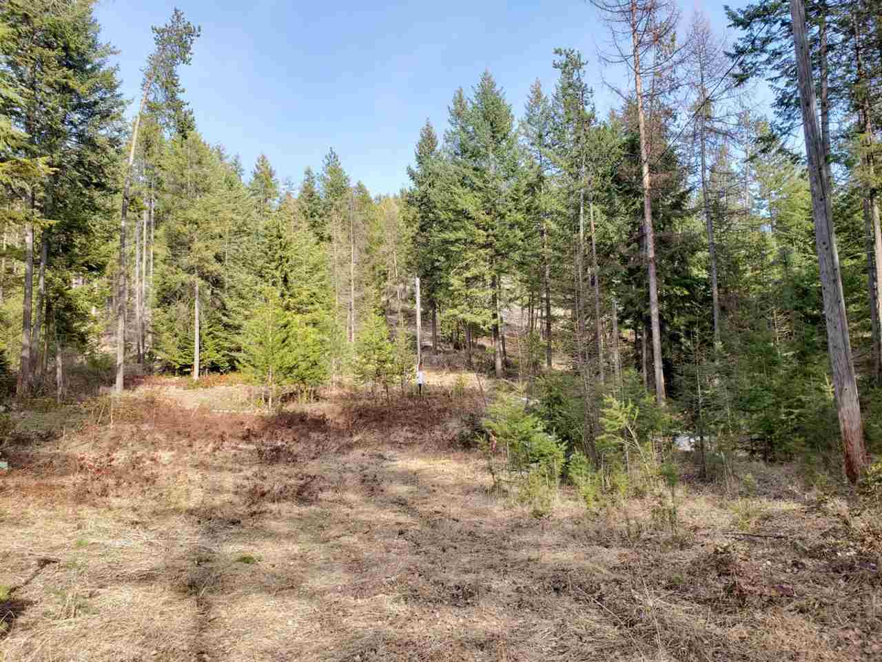 1967 Old CC Road Addy, WA 99101 - Photo 2 of 20