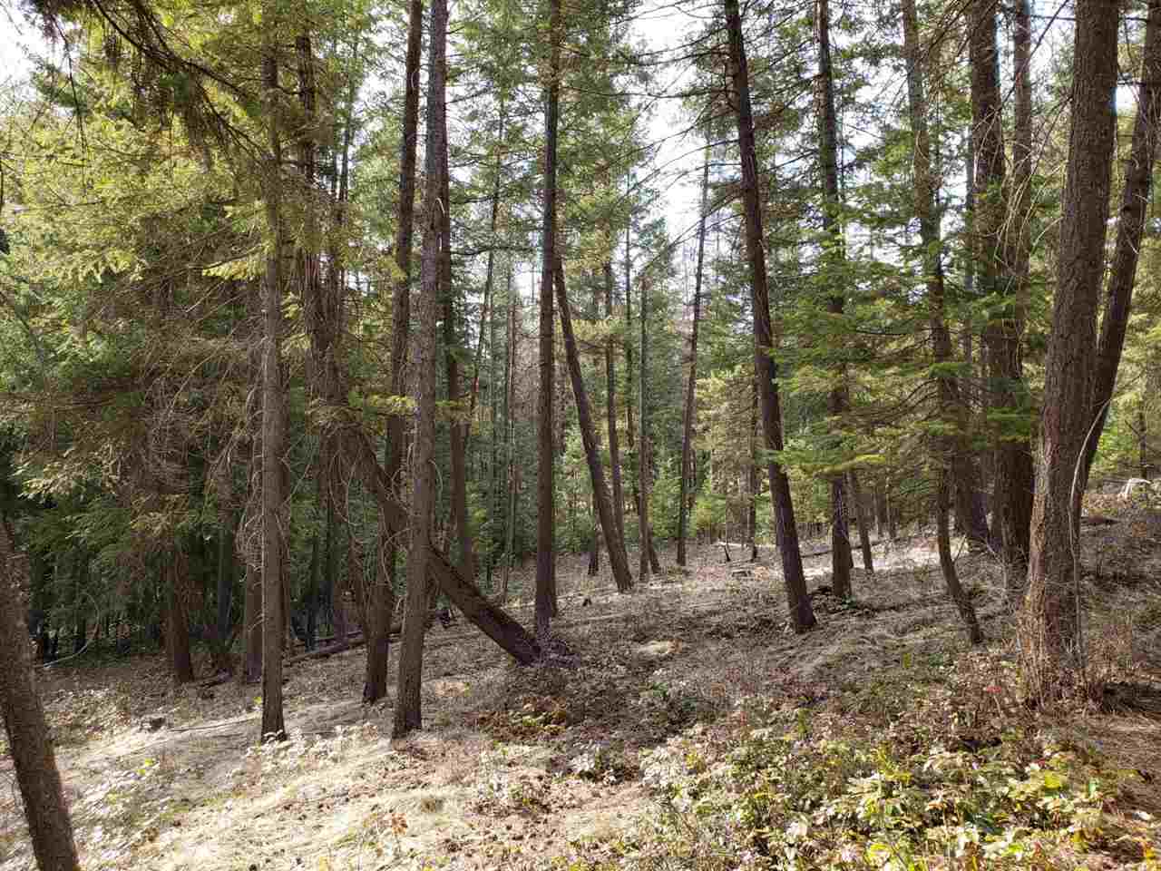 1967 Old CC Road Addy, WA 99101 - Photo 11 of 20