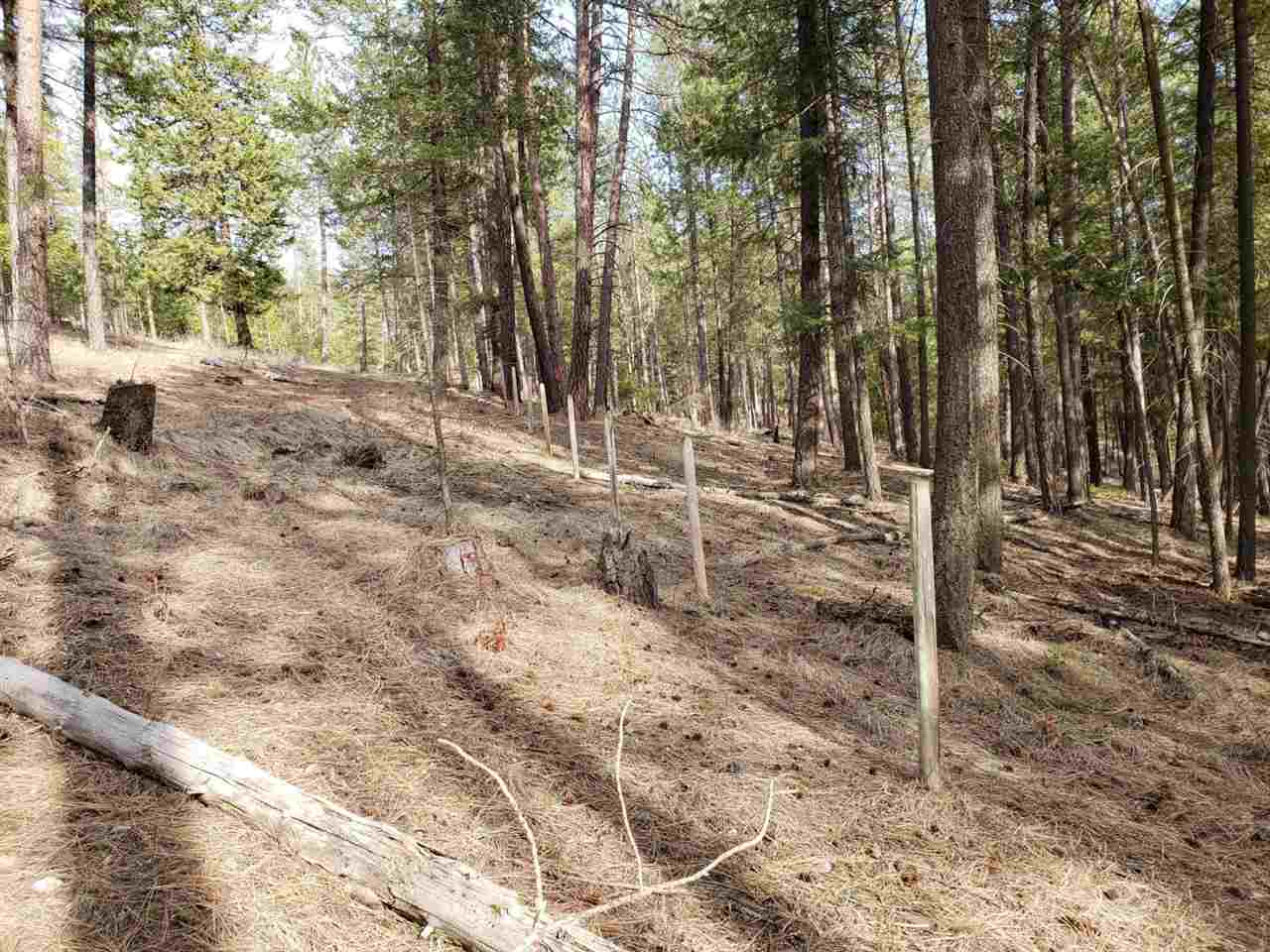 1967 Old CC Road Addy, WA 99101 - Photo 12 of 20