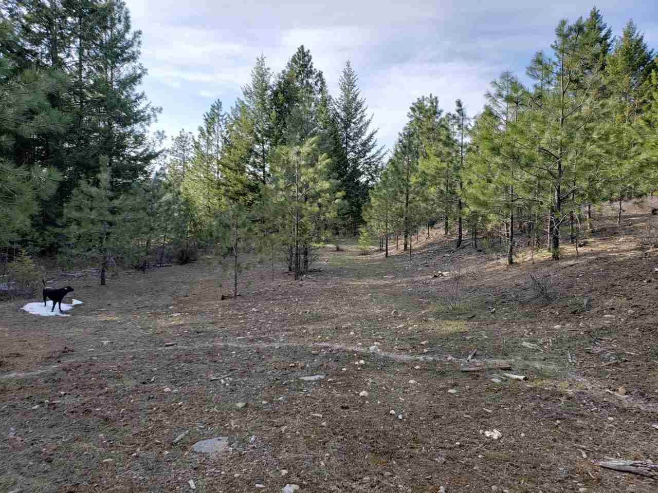 1967 Old CC Road Addy, WA 99101 - Photo 13 of 20