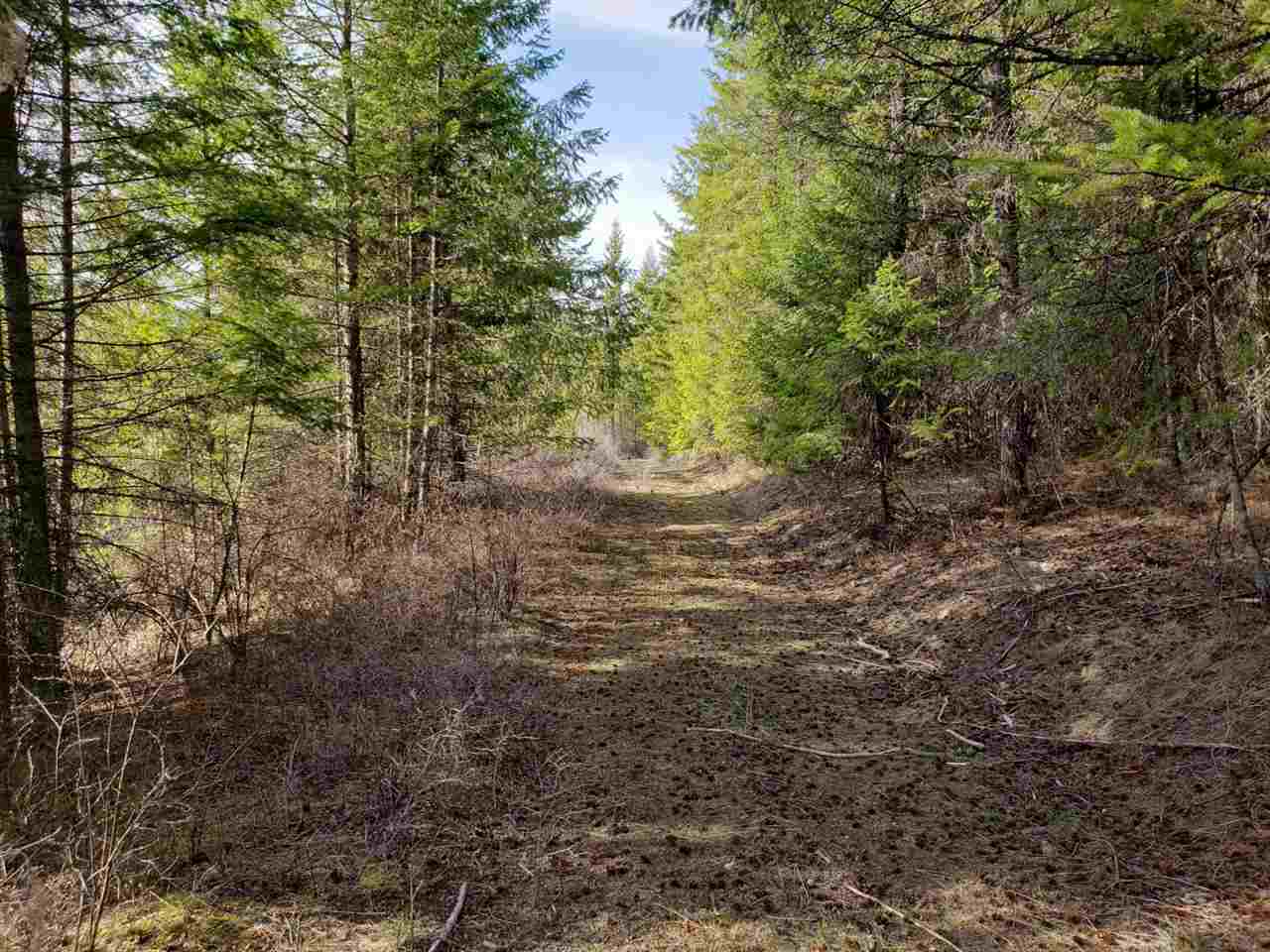 1967 Old CC Road Addy, WA 99101 - Photo 15 of 20