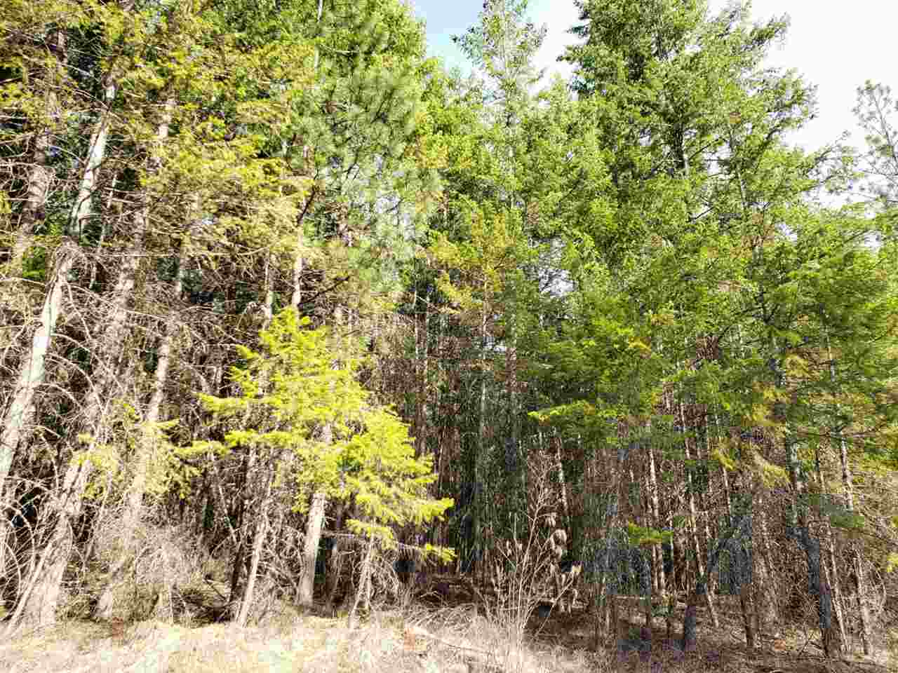 1967 Old CC Road Addy, WA 99101 - Photo 16 of 20