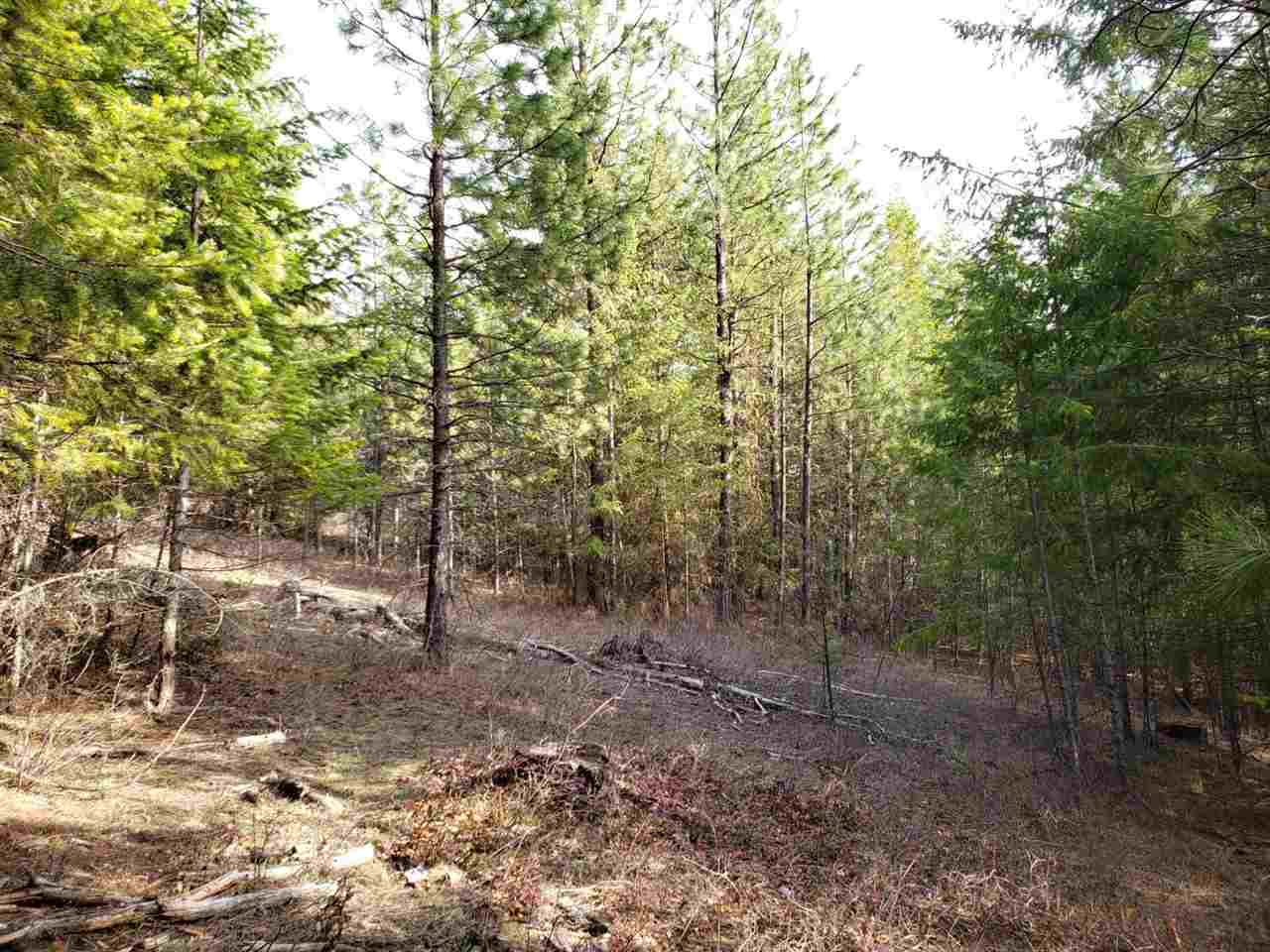 1967 Old CC Road Addy, WA 99101 - Photo 17 of 20