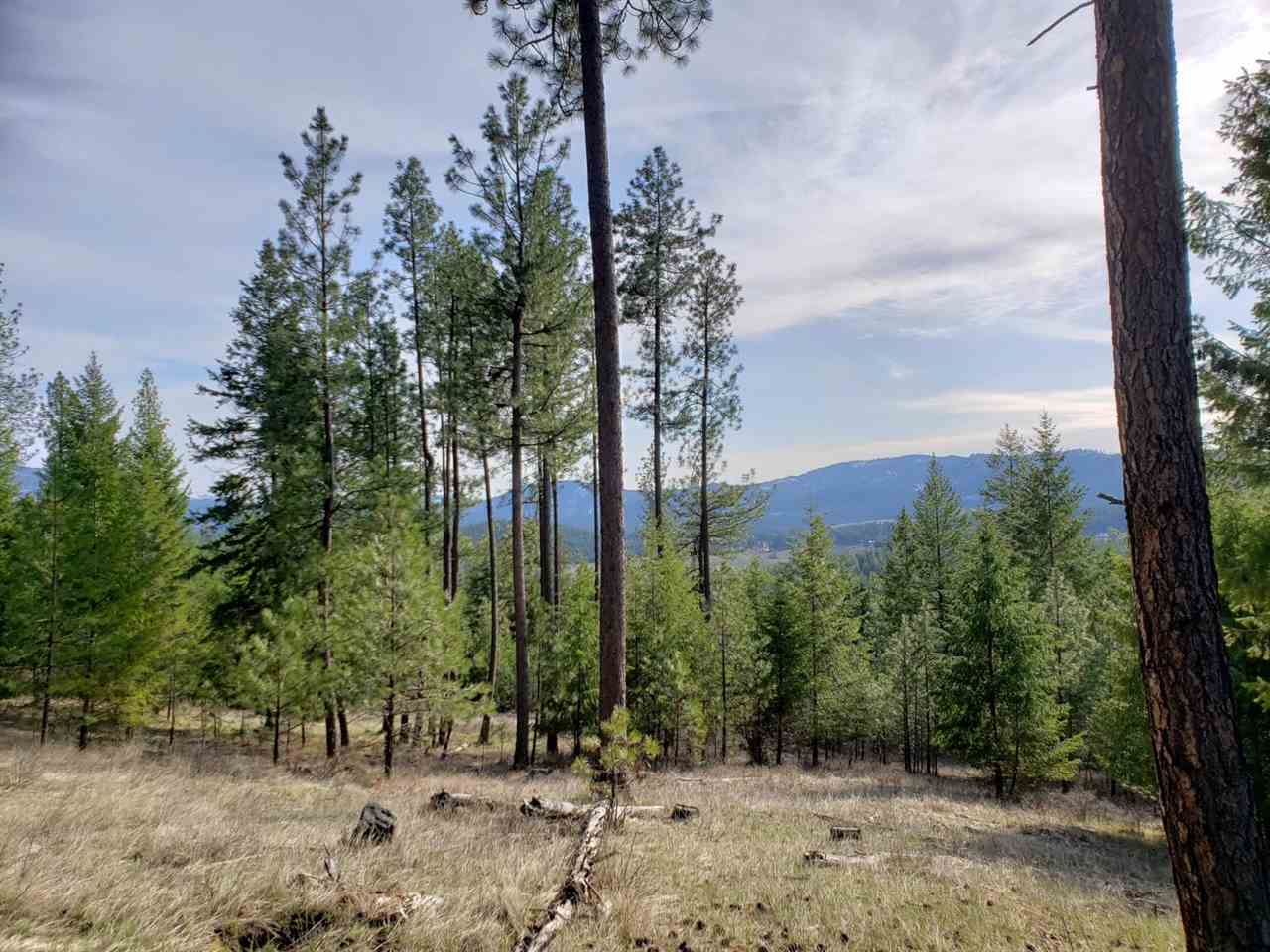 1967 Old CC Road Addy, WA 99101 - Photo 18 of 20