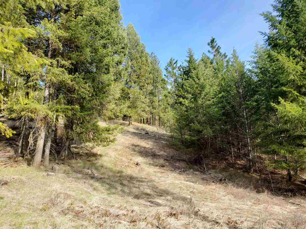 1967 Old CC Road Addy, WA 99101 - Photo 19 of 20