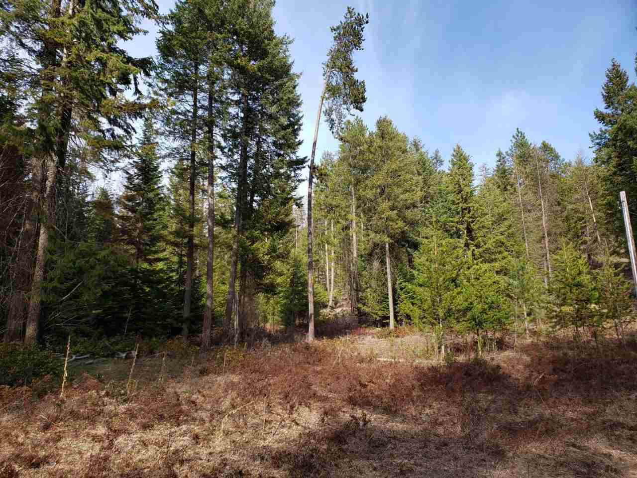 1967 Old CC Road Addy, WA 99101 - Photo 3 of 20