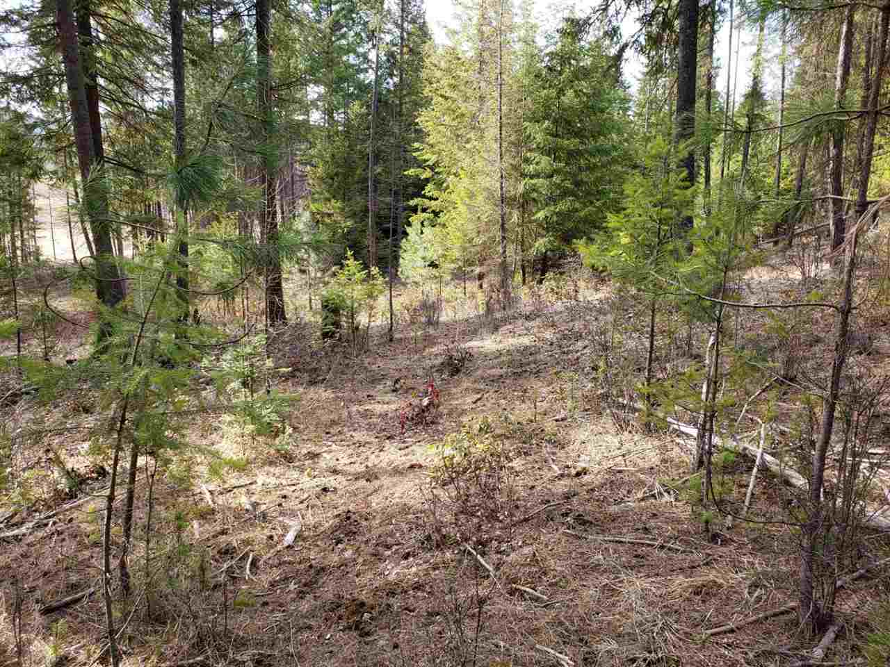 1967 Old CC Road Addy, WA 99101 - Photo 7 of 20