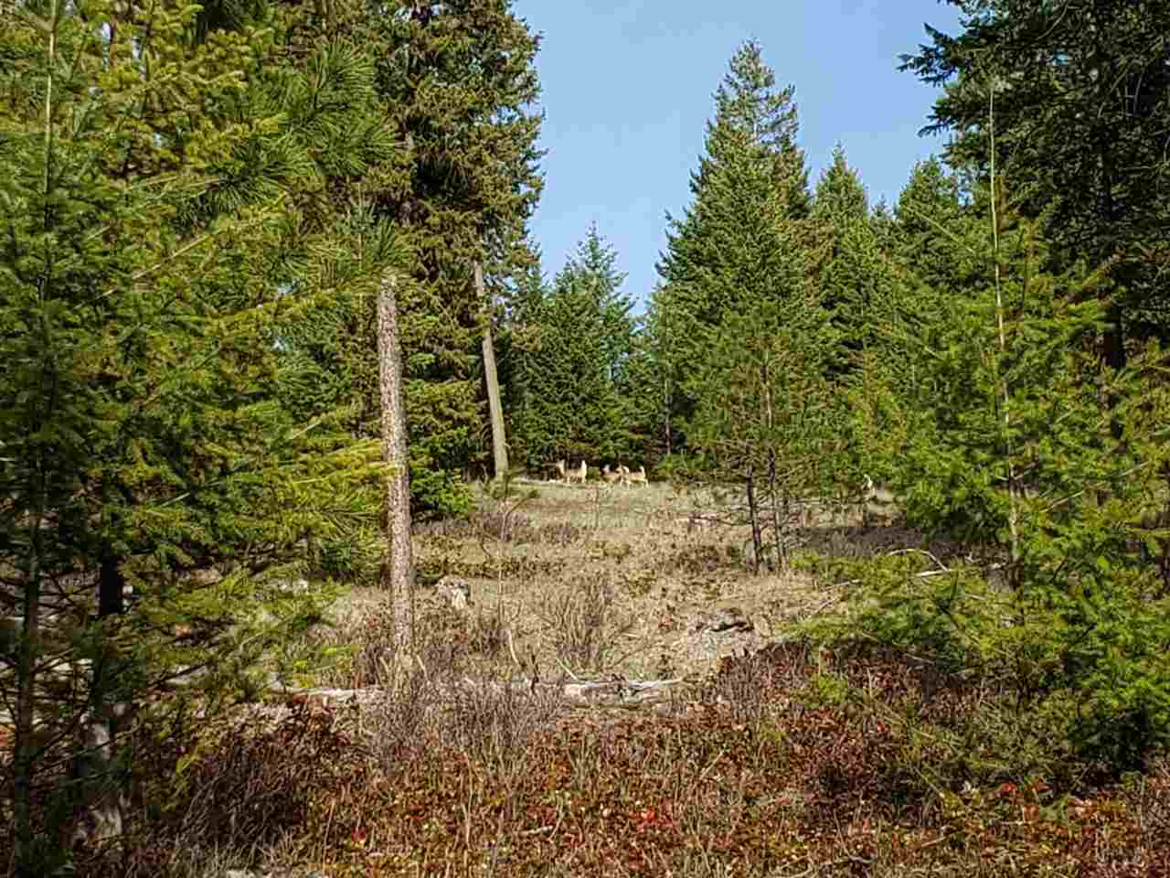 1967 Old CC Road Addy, WA 99101 - Photo 8 of 20