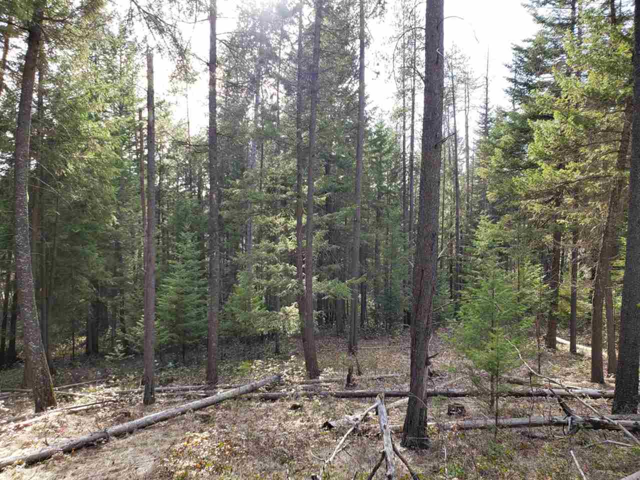 1967 Old CC Road Addy, WA 99101 - Photo 10 of 20
