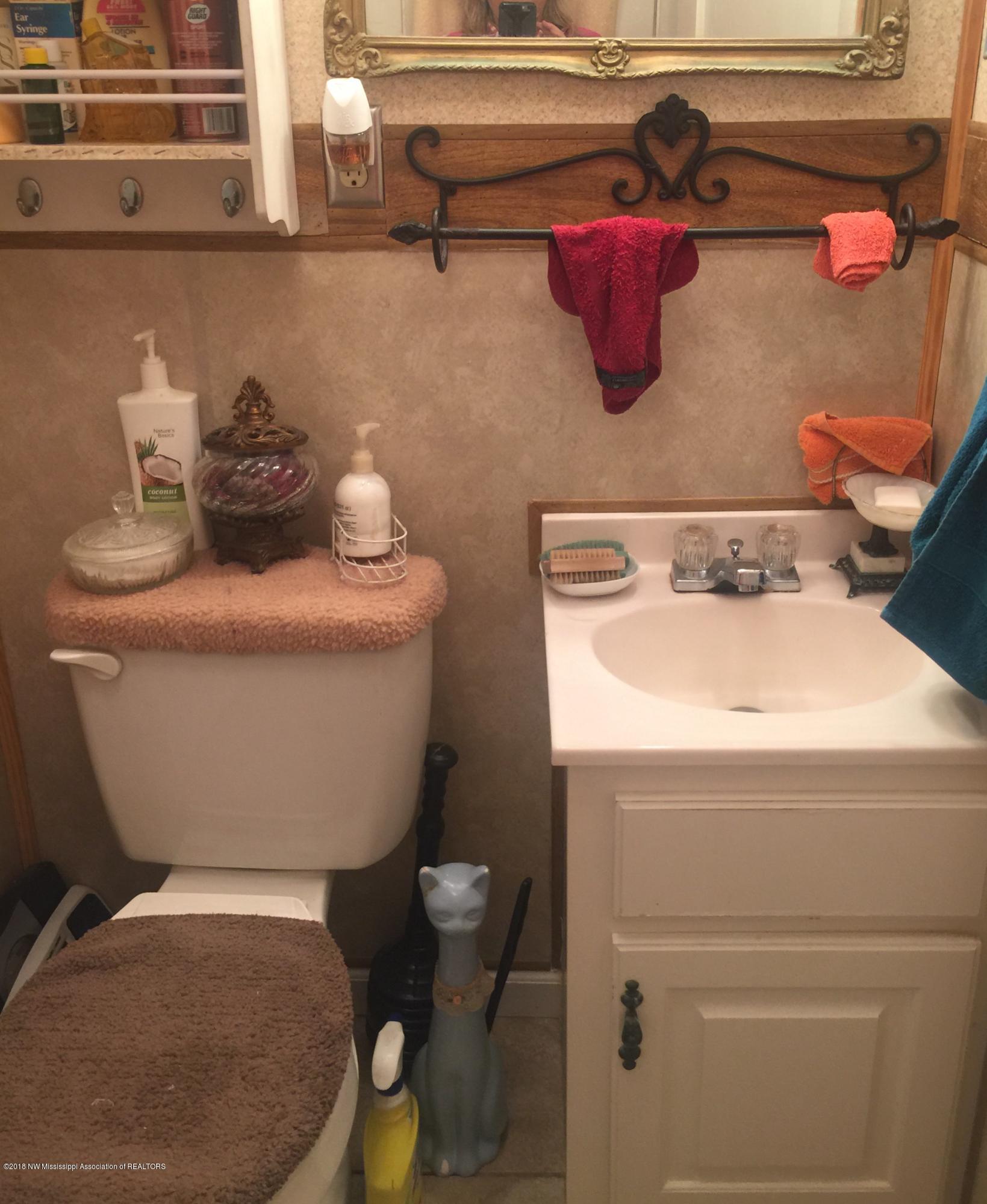 167 Bett Road Coldwater, MS 38618 - Photo 5 of 8 Bathroom