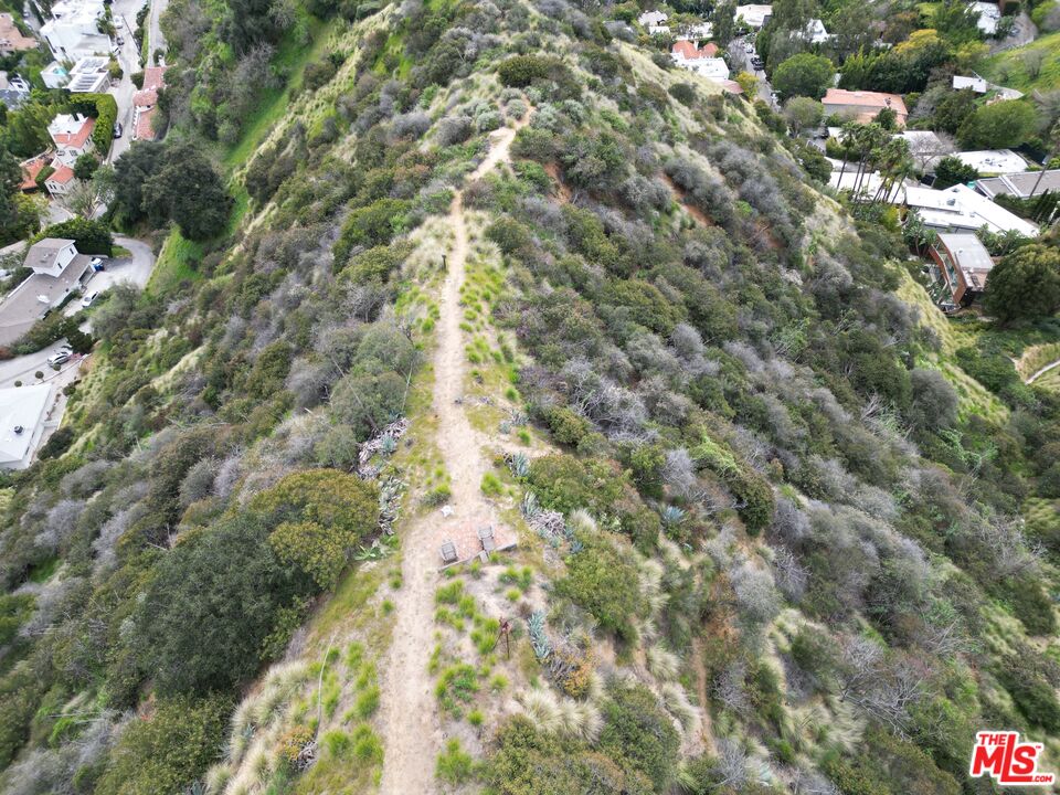 0 Woods Drive Los Angeles, CA 90069 - Photo 9 of 16 a view of a tree
