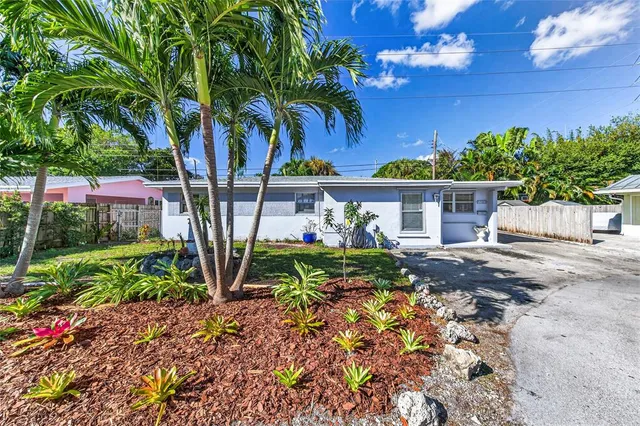 a view of a backyard with plants