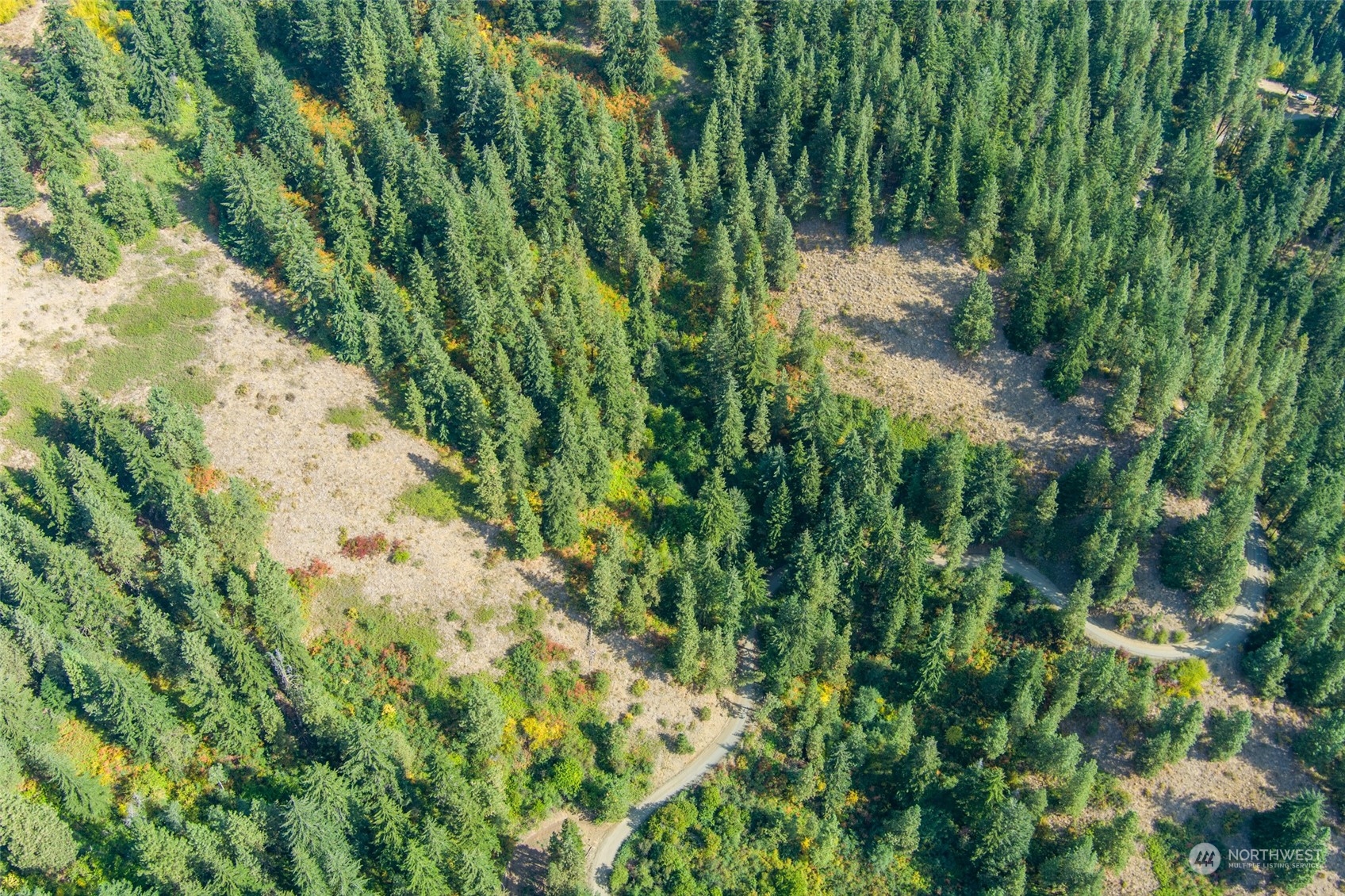 0 Derby Canyon Road Cashmere, WA 98815 - Photo 11 of 13 Gallery Image 11