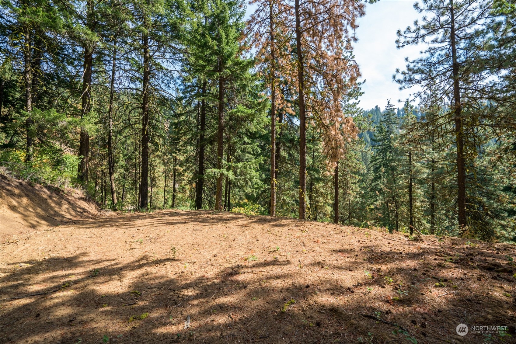 0 Derby Canyon Road Cashmere, WA 98815 - Photo 2 of 13 Gallery Image 2
