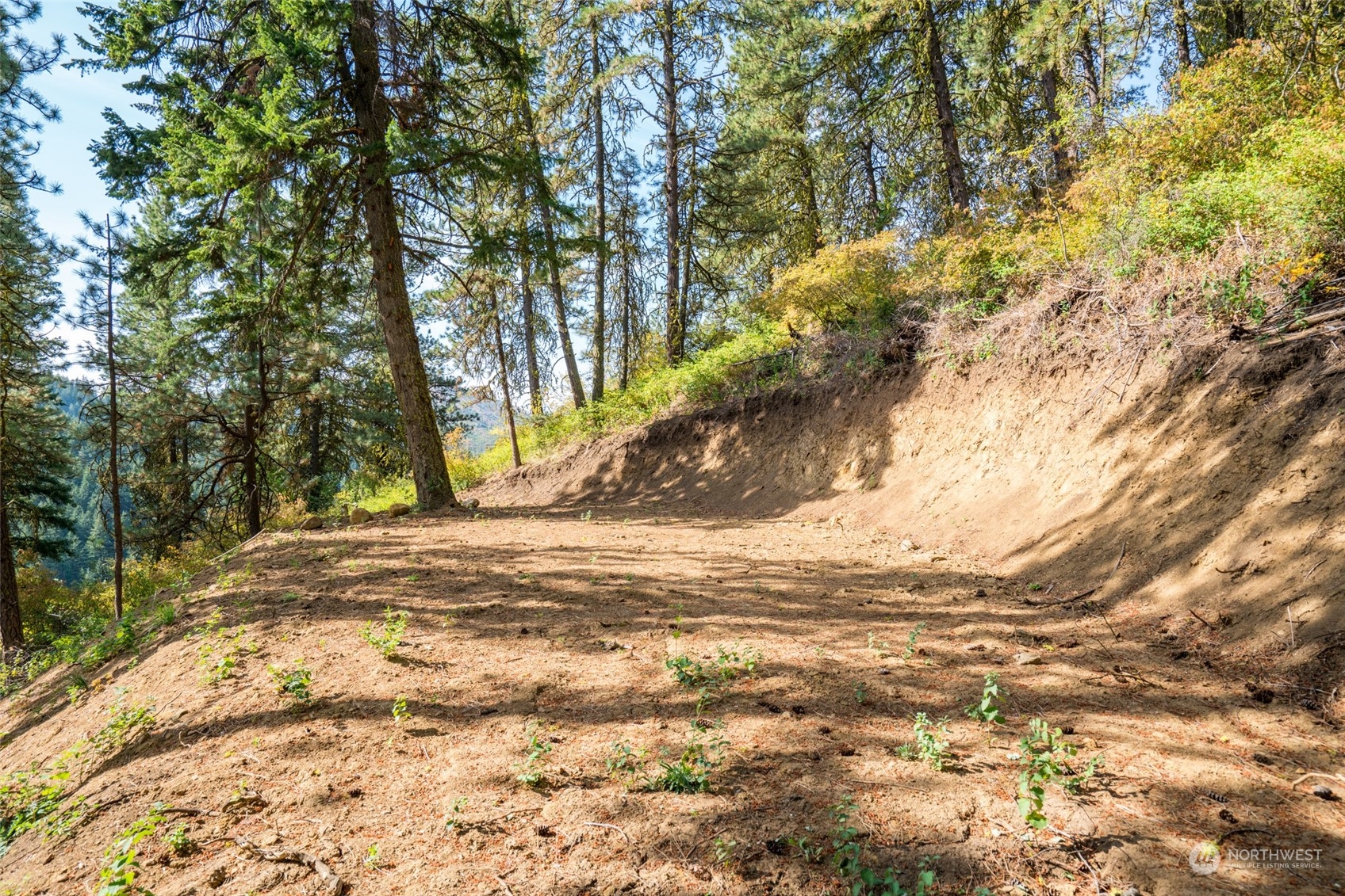 0 Derby Canyon Road Cashmere, WA 98815 - Photo 4 of 13 Gallery Image 4