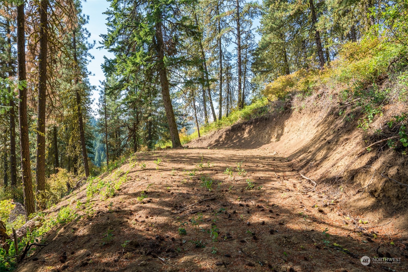 0 Derby Canyon Road Cashmere, WA 98815 - Photo 5 of 13 Gallery Image 5
