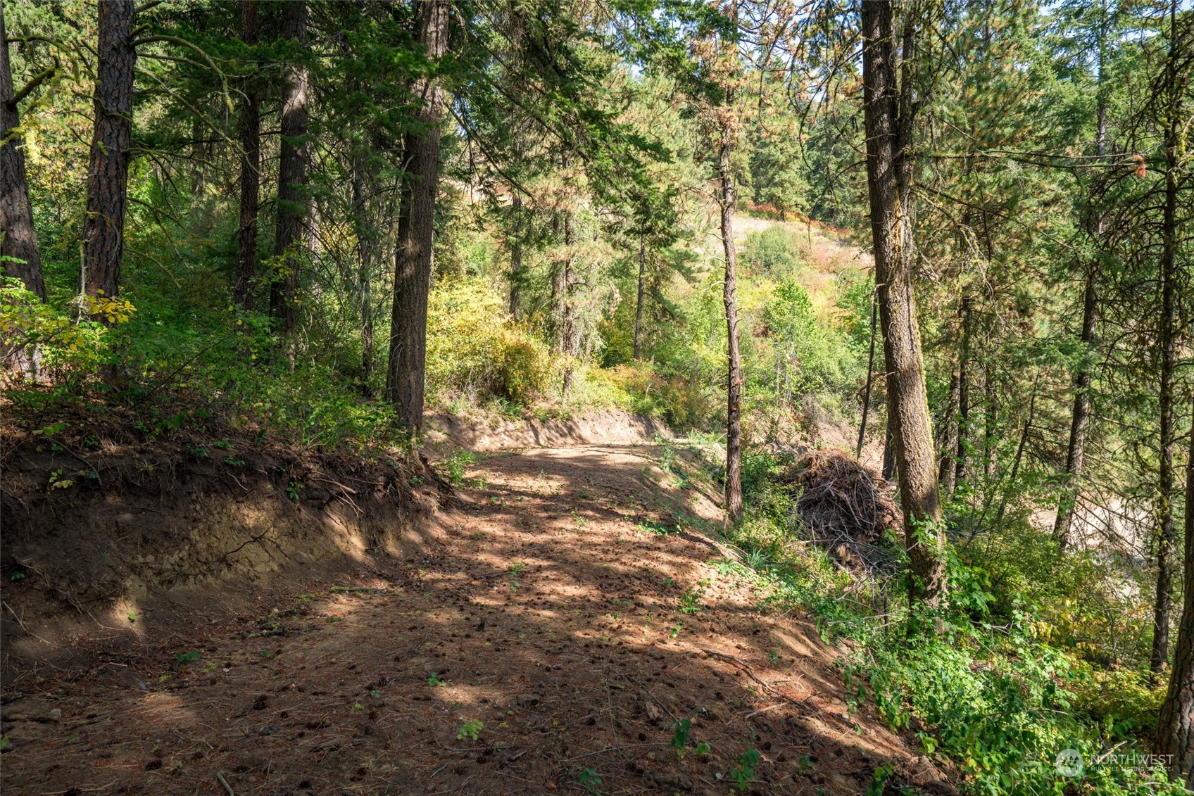 0 Derby Canyon Road Cashmere, WA 98815 - Photo 6 of 13 Gallery Image 6