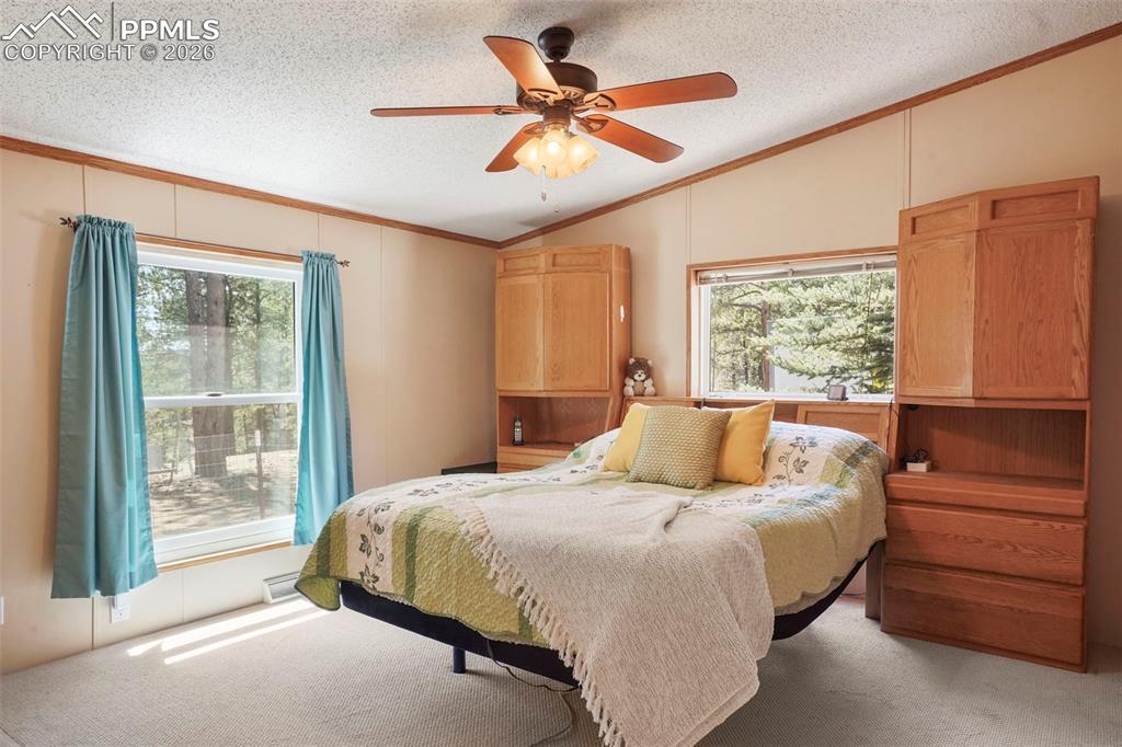2450 Pathfinder Road Florissant, CO 80816 - Photo 15 of 29 a bedroom with a large bed and a large window