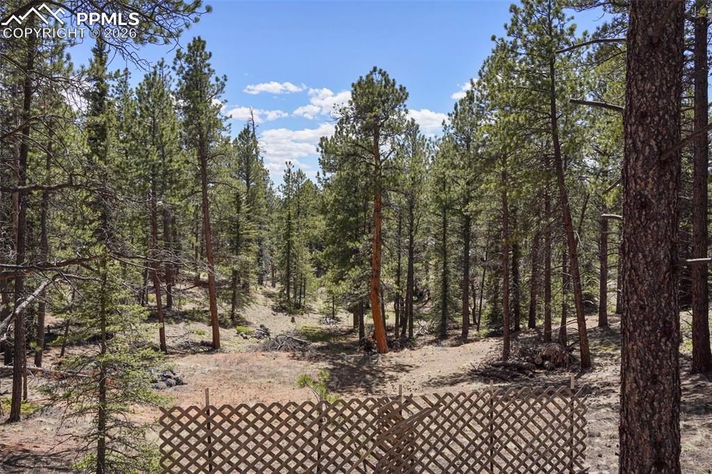 2450 Pathfinder Road Florissant, CO 80816 - Photo 23 of 29 a view of a yard with plants and trees