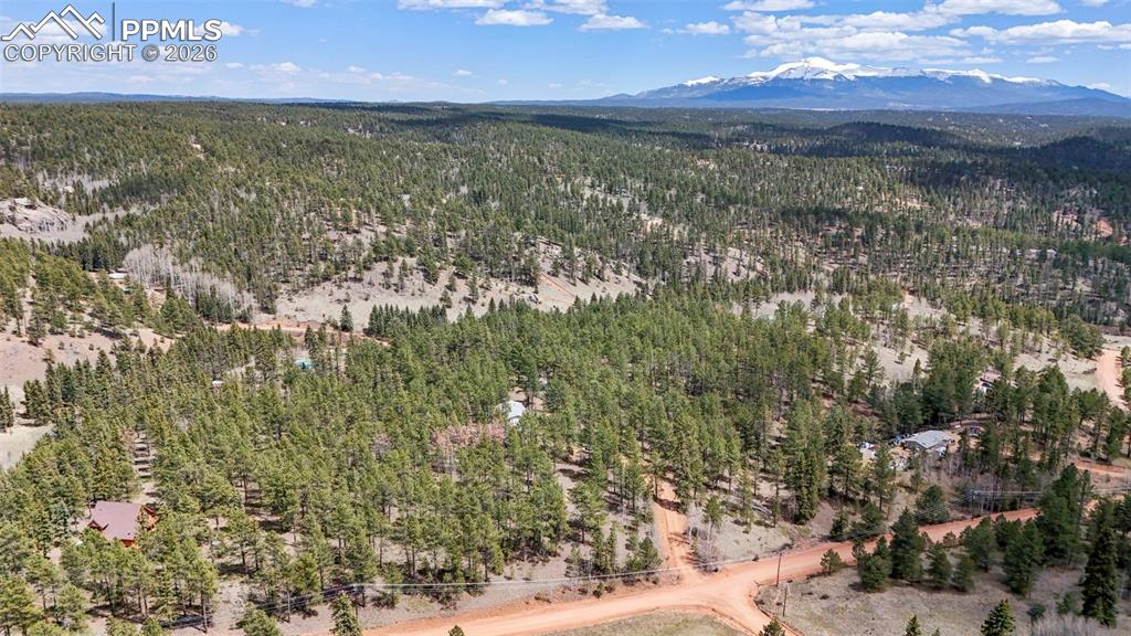 2450 Pathfinder Road Florissant, CO 80816 - Photo 27 of 29