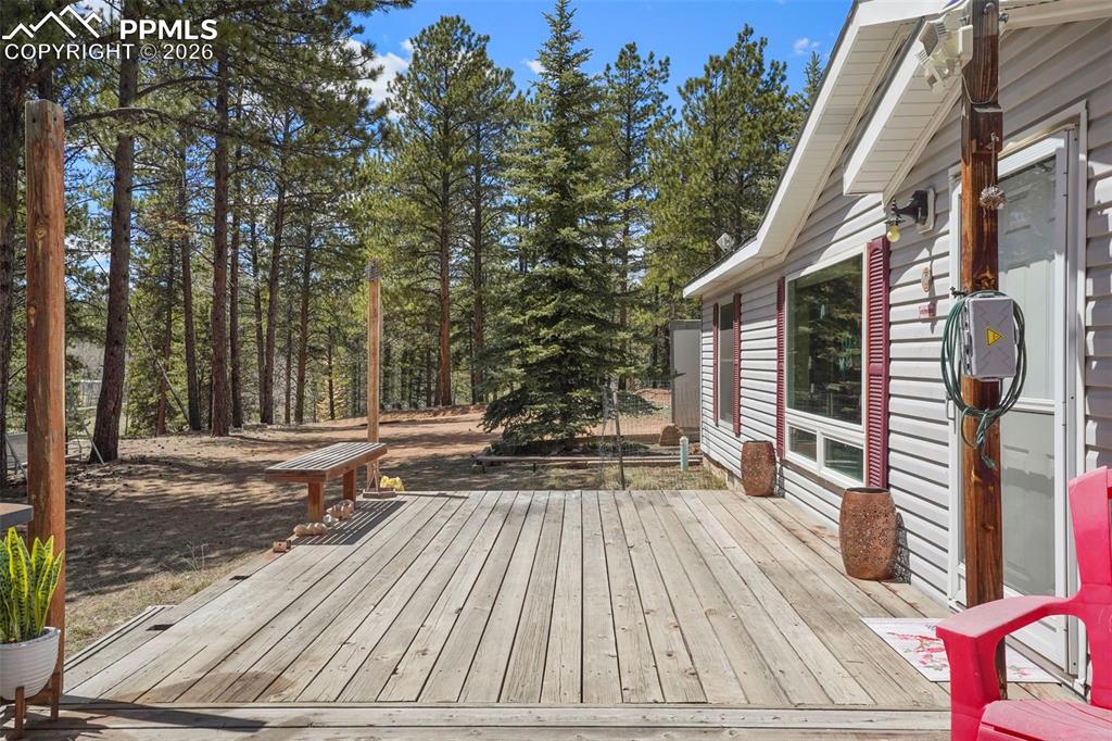 2450 Pathfinder Road Florissant, CO 80816 - Photo 3 of 29 a view of outdoor space and yard