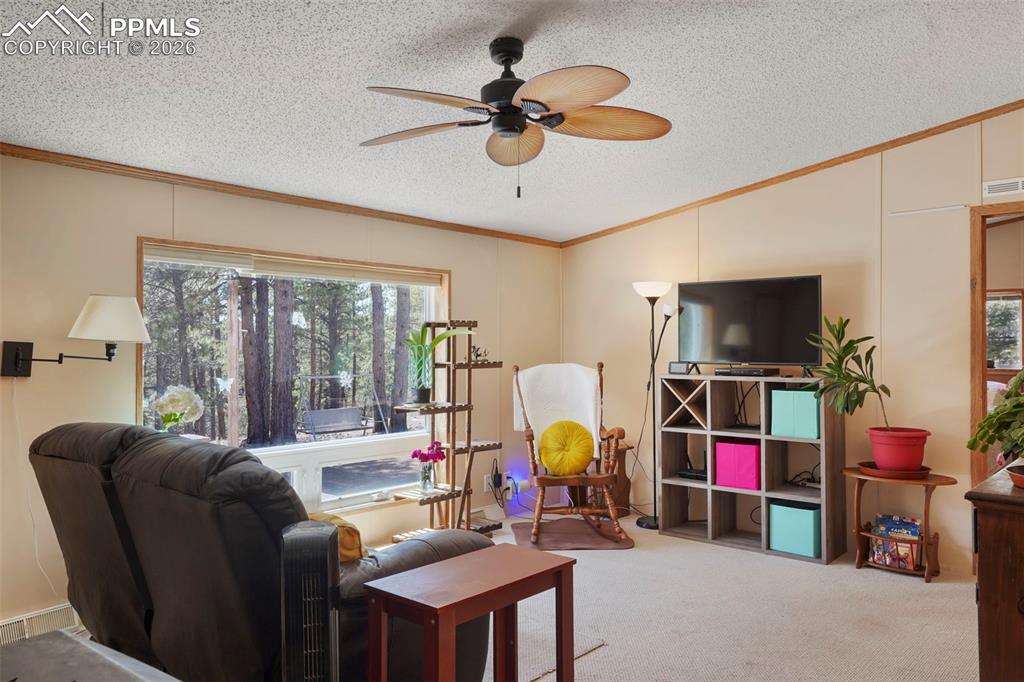 2450 Pathfinder Road Florissant, CO 80816 - Photo 6 of 29 a living room with furniture and a flat screen tv