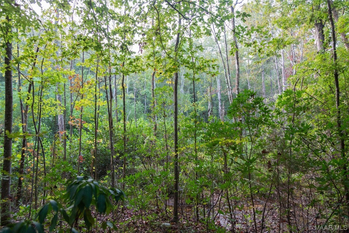 337 County Road 337 Brantley, AL 36009 - Photo 32 of 36 Gallery Image 32