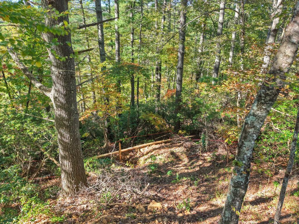 123 Bell Cp Rdg Road Blue Ridge, GA 30513 - Photo 8 of 18 Gallery Image 8