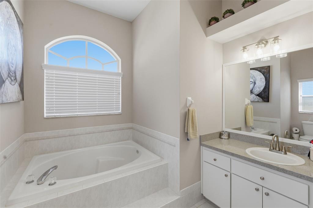 14126 Andrew Scott Road Spring Hill, FL 34609 - Photo 16 of 29 a bathroom with a tub sink and mirror